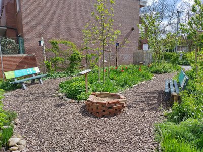 Ein sonniger Garten mit zwei Bänken, Apfelbaum und einem Weg aus Holzhackschnitzeln