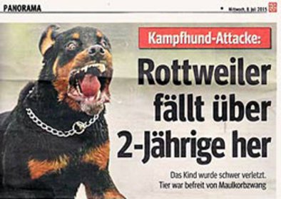 Zeitungsartikel mit Bericht über Kampfhund-Attacke