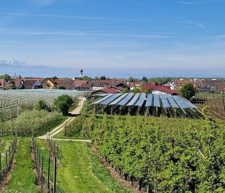 Eine innovative Agri-Photovoltaik-Anlage in einer Kommune in Süddeutschland. [Foto: Klaus Müller / ZALF]
